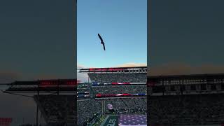 Fly Eagle Fly... Playoff Edition #shorts