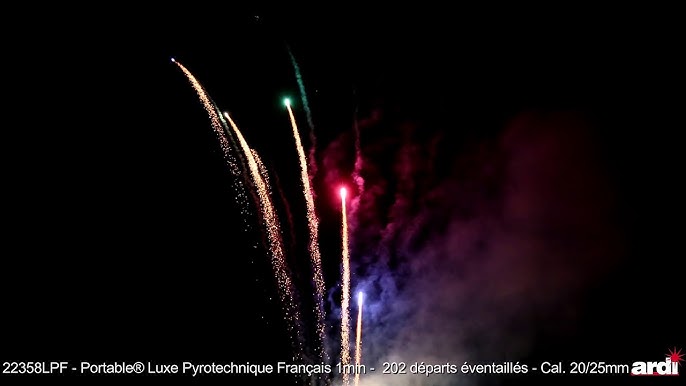 Feu D'artifice Automatique 2.30 - Portable Champs Elysées