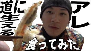 道端に生えてるアレ食べたら超絶うまかった！！