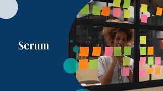 Scrum Values, Principles, and Roles