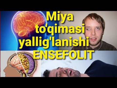 Video: Itlarda Miyaning Yallig'lanishi