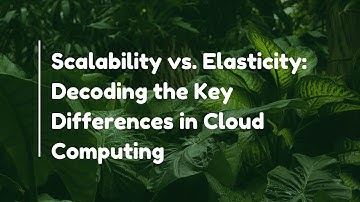 Scalability vs. Elasticity: Decoding the Key Differences in Cloud Computing