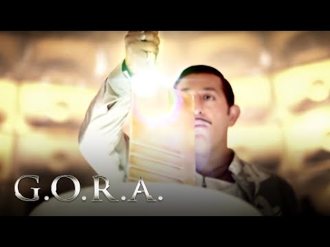 Doğada Bulunan Dört Element - G.O.R.A.