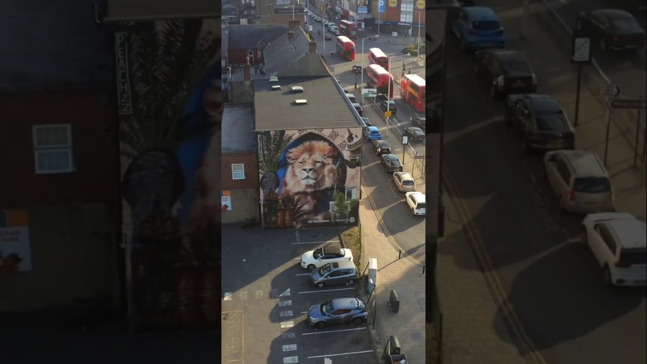 A new mural has come to Tottenham. 