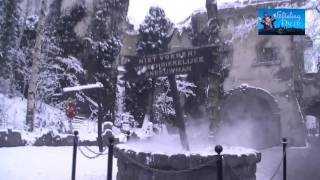 Winter Efteling - Anderrijk