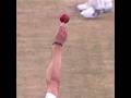 Dale Steyn Sets Up Brad Haddin With Genius Outswing Bowling Analysis Dale Steyn Sets Up Brad Haddin With Genius Outswing Bowling Analysis