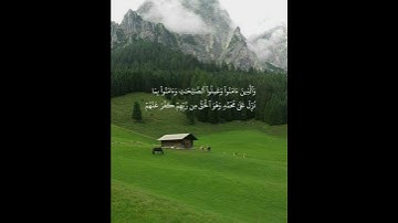 سلمان العتيبي سورة محمد