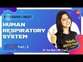 Breathing and Exchange of Gases L-2 | Human Respiratory System -2 | NEET Biology Lectures | Vedantu