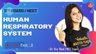 Breathing and Exchange of Gases L-2 | Human Respiratory System -2 | NEET Biology Lectures | Vedantu