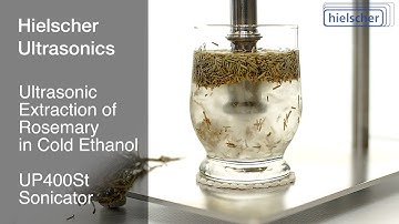 Rosemary Extraction in Ethanol Using an Ultrasonic Homogenizer UP400St