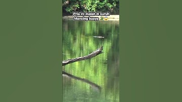 PRIA INI MALAH DI SURUH MANCING BUAYA #shorts