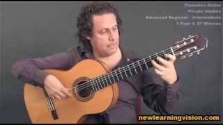 Picado Studies - Online flamenco guitar lesson demo (Adv-Beginner to Intermediate)