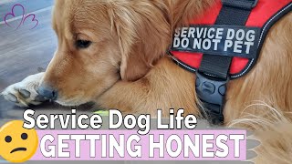 The TRUTH About Having a Service Dog // Having a service dog isn't 'cool'