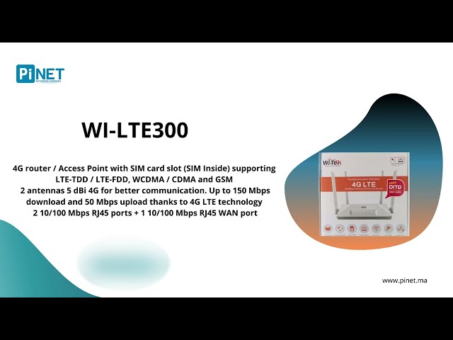 WI-LTE300