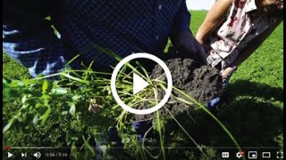 MFGA Regenerative Agriculture Video