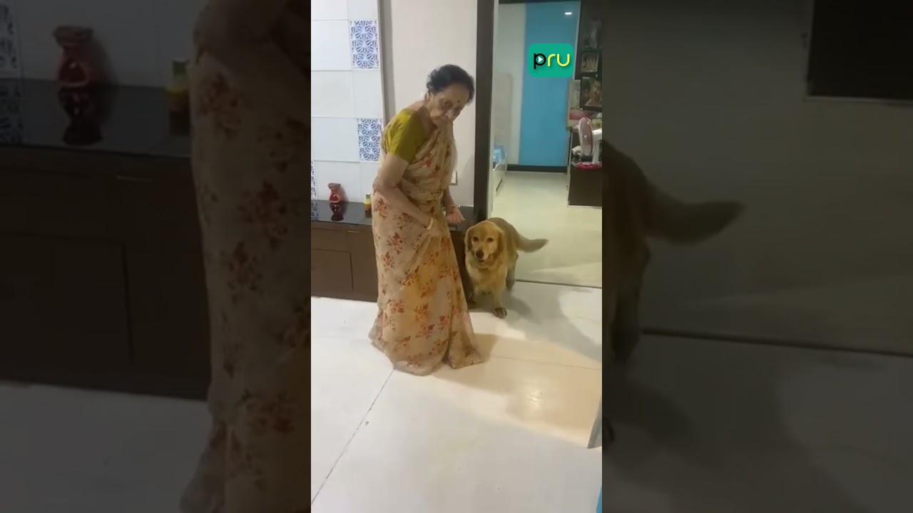Veteran Actress Jamuna garu with her dogs