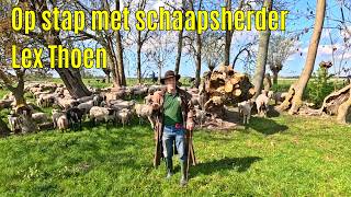 Op stap met schaapsherder Lex Thoen - Adrianushoeve Vockestaert 14 april 2026 deel 2