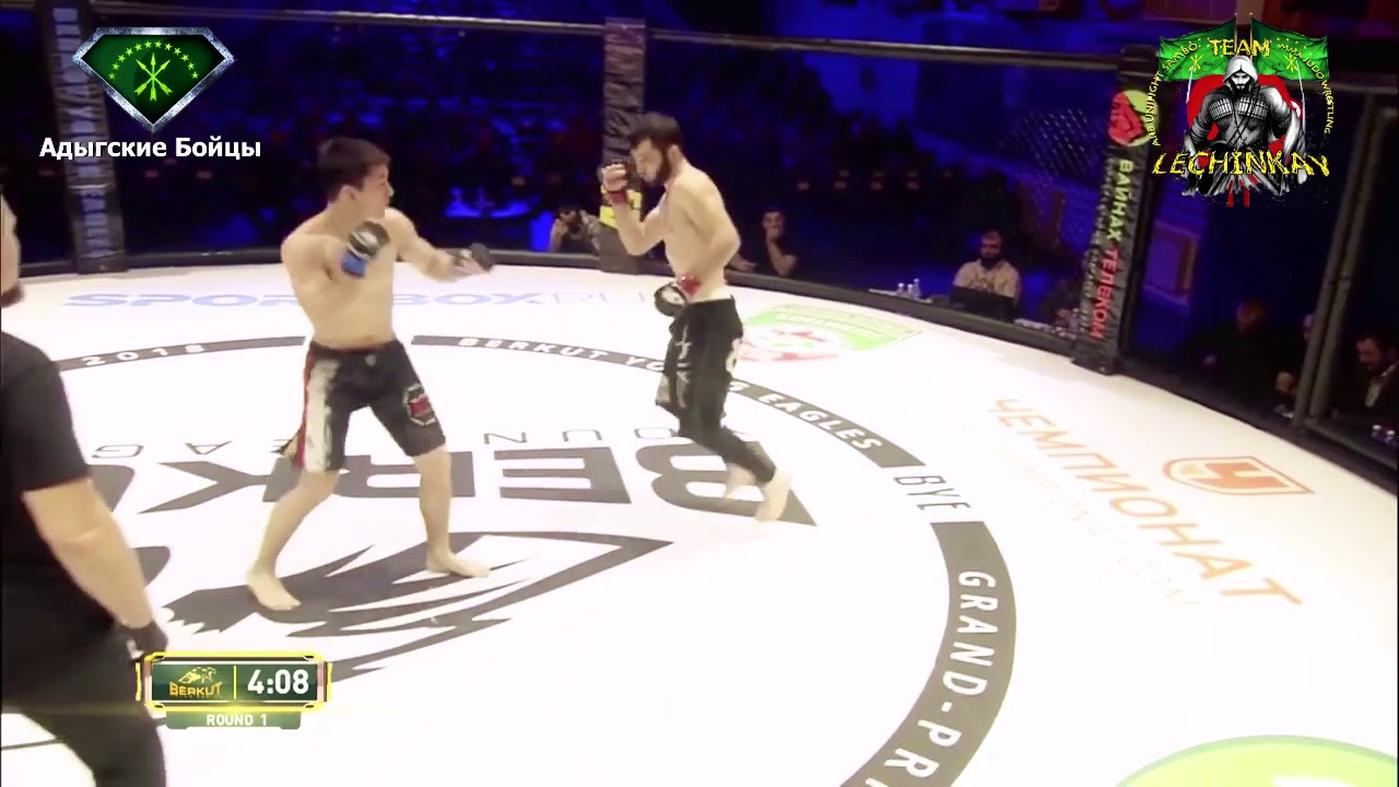 Черкесские бойцы\circassian fighters