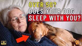 If Your Dog Sleeps With You After 50, Know This screenshot 5