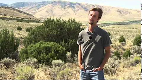 Burley Landscape Sage-Grouse Habitat Restoration Project