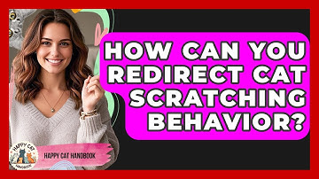 How Can You Redirect Cat Scratching Behavior? | Happy Cat Handbook