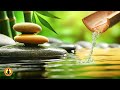 Relaxing zen music 247 healing music meditation music spa music sleep zen nature sounds