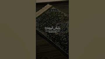 تلاوة جميلة للقرآن الكريم -  Part83 | #قرآن #قران_كريم #quran