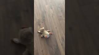 Rocky Engelse Stafford