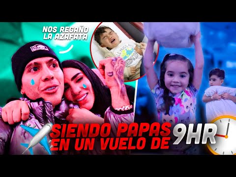 Video: 9 regalos que mejoran la salud para regalar a tu mascota