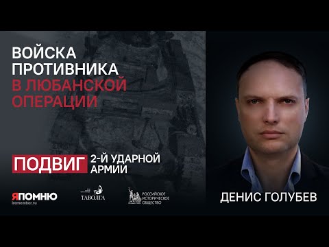 Денис Голубев. Войска противника в Любанской операции