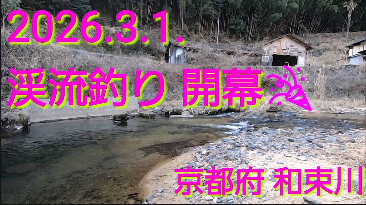 2026渓流釣り開幕。3月1日@京都府 木津川 支流 和束川のアマゴ。