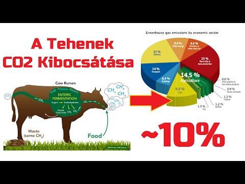 Bitcoin Híre (1816) - Magyarósi Csaba - A Tehenek CO2 Kibocsátása ~10% Bitcoin Híre (1816) - Magyarósi Csaba - A Tehenek CO2 Kibocsátása ~10%