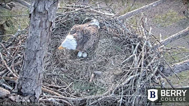 Cam 2 view of Dad and intruder