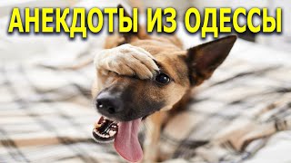 Матерные анекдоты про Маски... Анекдоты из Одессы №376
