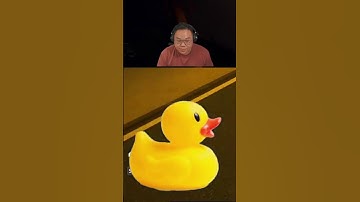 Ducky ain