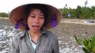 Vietnam Can Gio Mangrove Tree Planting