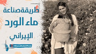 گلاب إيراني... كيف يصنع أفضل ماء ورد في العالم؟