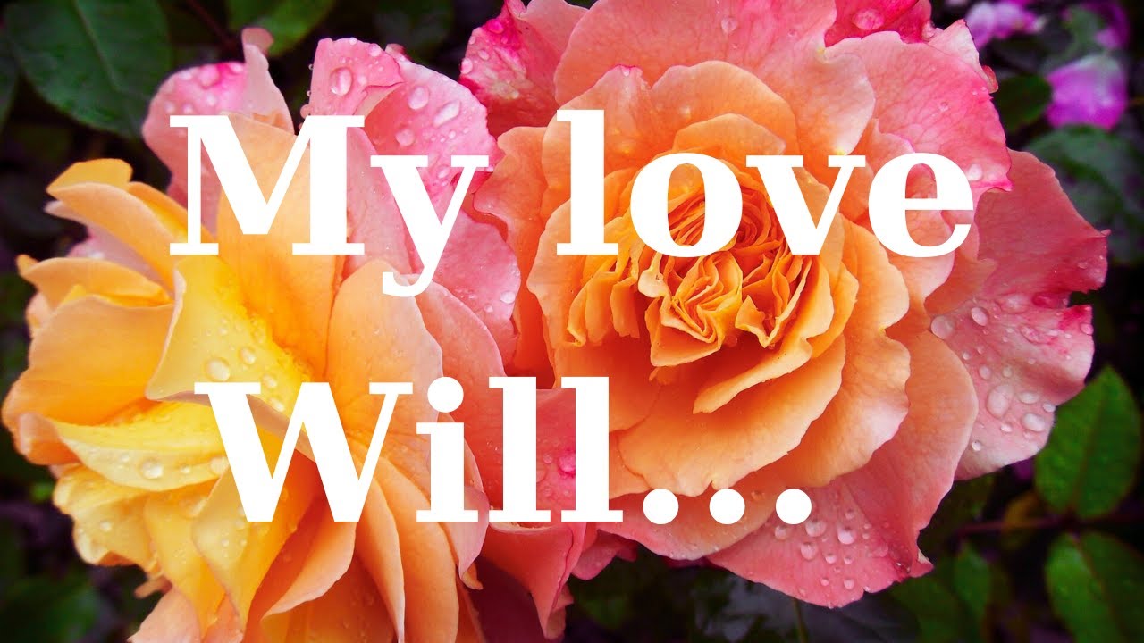 My love for you will...@Mylovepoemsstories - YouTube