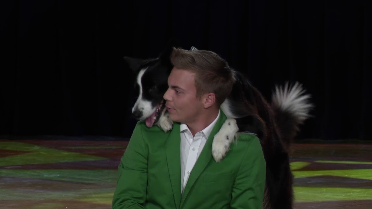 Dancer against Cancer Baden 2017 - Lukas und Falco