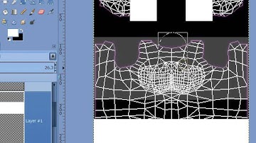 Basic Crop top whole Fit