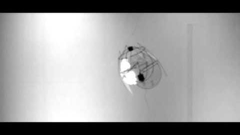 Mini Flying Robot Hovers Like Jellyfish | Video