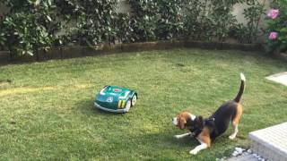 2016 0716 Casper e Ambrogio
