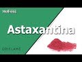 Astaxantina un buen antioxidante