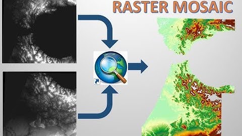 ARCGIS : Raster dataset Mosaic under ArcMAP