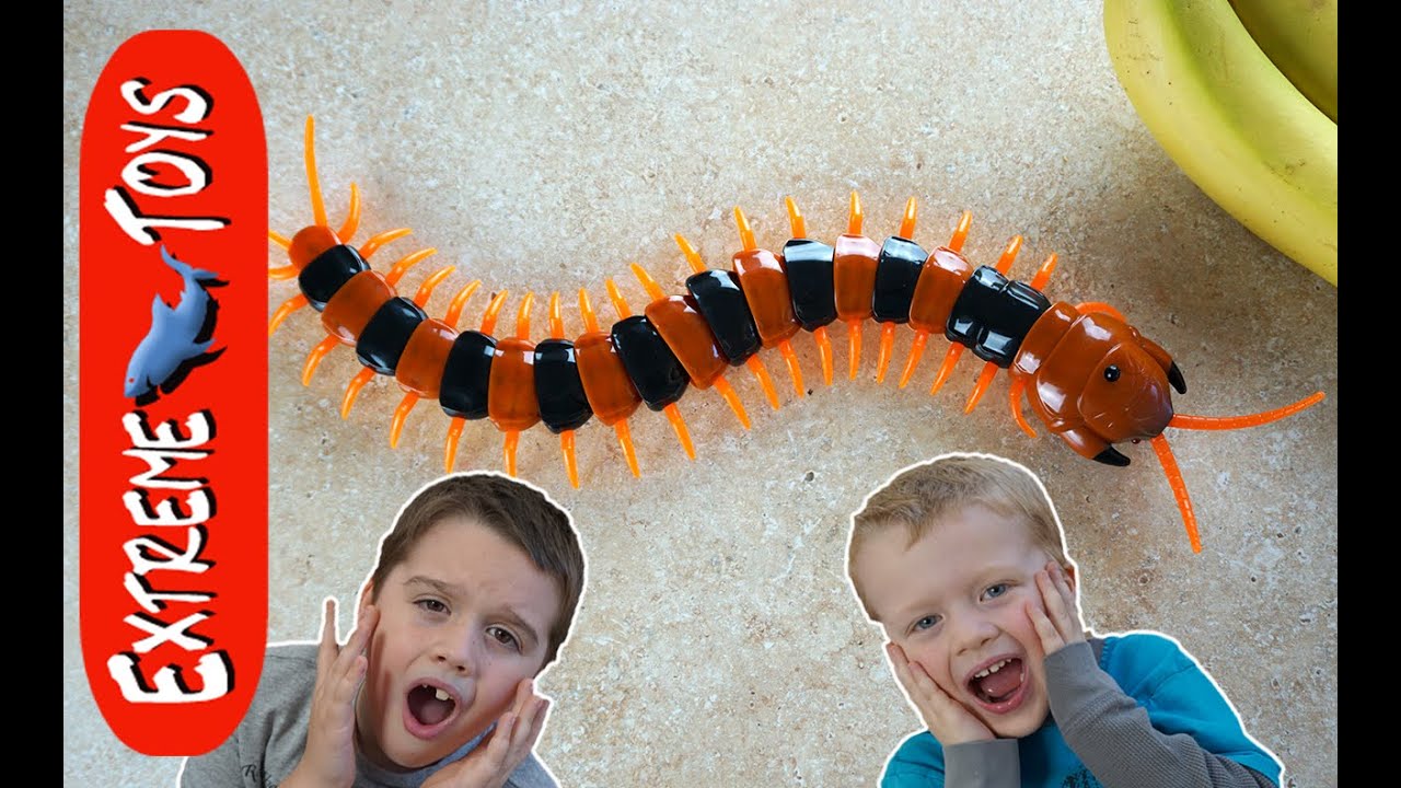 sinister centipede toy insect terror giant bug toy chases vi tae