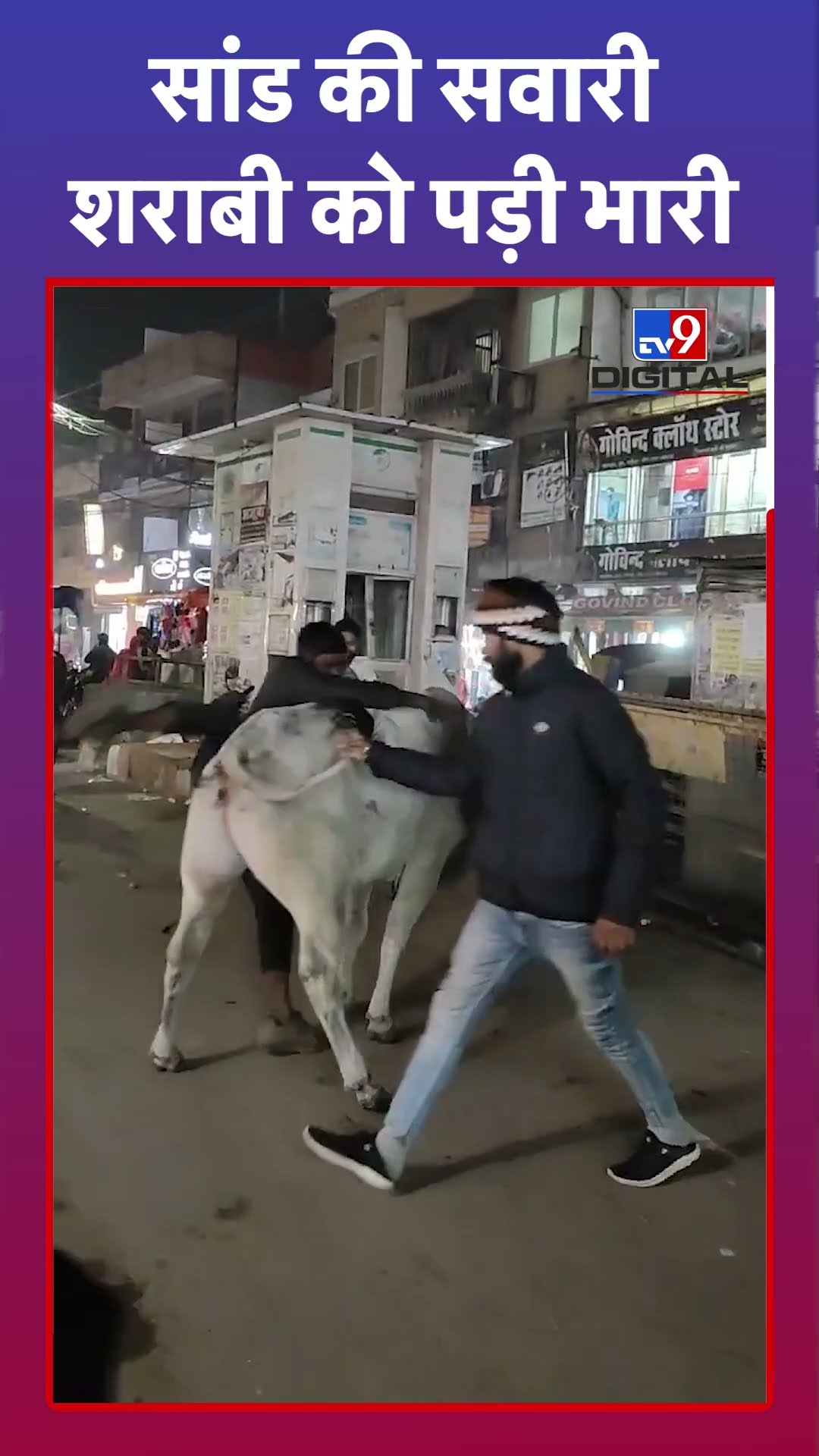 सांड की सवारी, शराबी को पड़ी भारी | Viral Video | #tv9shorts
