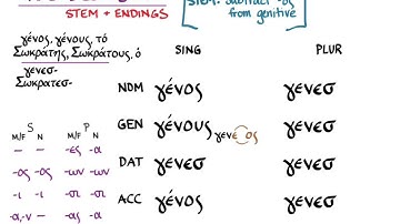 §82 More Third Declension Nouns