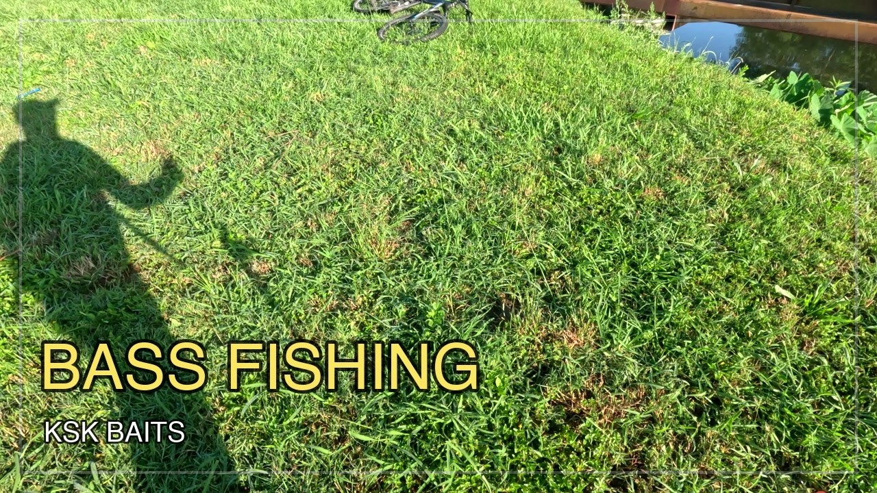 Quiet Bass Fishing in an American Bayou | Natural Sounds | KSK BAITS