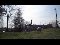 Test choreo for new short film mickey  the fly