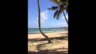 Guadeloupe, plage de Montal. Commune du Moule